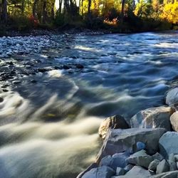 Spring Creek Campground and Trout Ranch