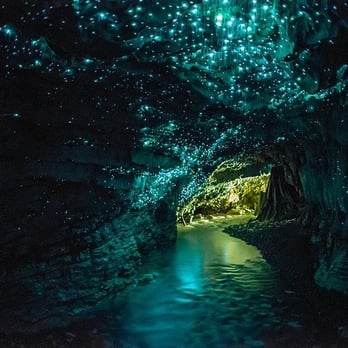 Waitomo Glowworm Caves - A professional photo that was taken, but it looks just like this - Rafting/Kayaking Near Me - Waitomo, WKO
