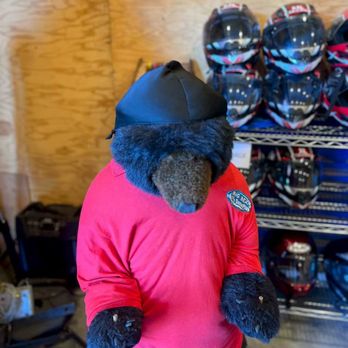 Big Bear Speedway - Big Bear Speedway Bear - Recreation Centers Near Me - Big Bear Lake, California