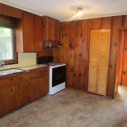 Veggie Powered Handyman