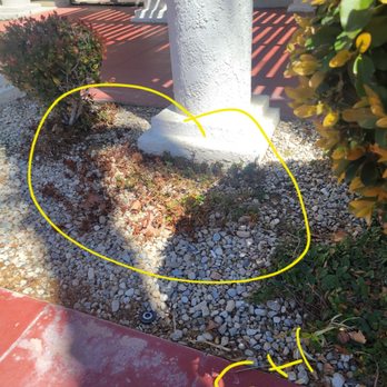 BrightView - Dead... - Landscape Architects or Designers Near Me - Gardena, California