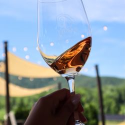 Yonah Mountain Vineyards - @tiffhuangry