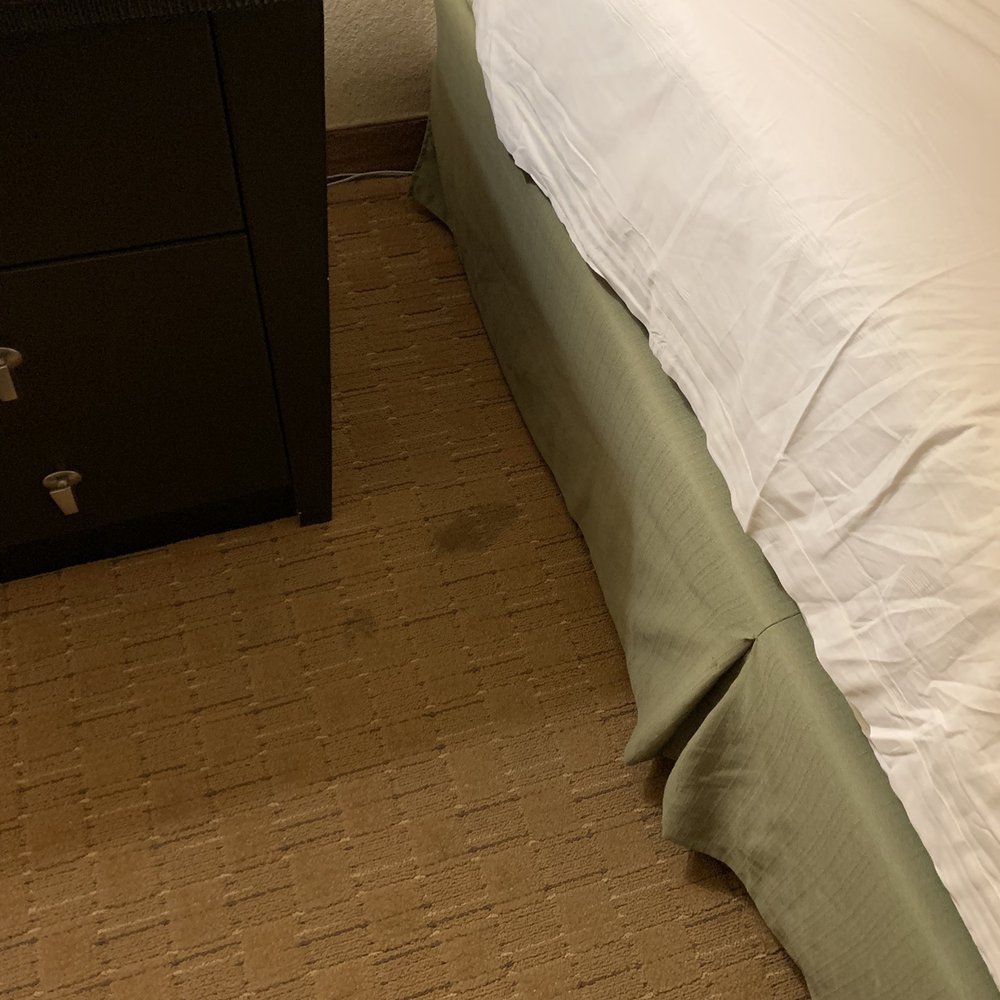 Tropicana Laughlin - A Caesars Rewards Destination - Stains on the rug near front of the bed -headboard - Hotels Near Me - Laughlin, Nevada Tropicana Laughlin - A Caesars Rewards Destination - Stains on the rug near front of the bed -headboard - Hotels Near Me - Laughlin, Nevada