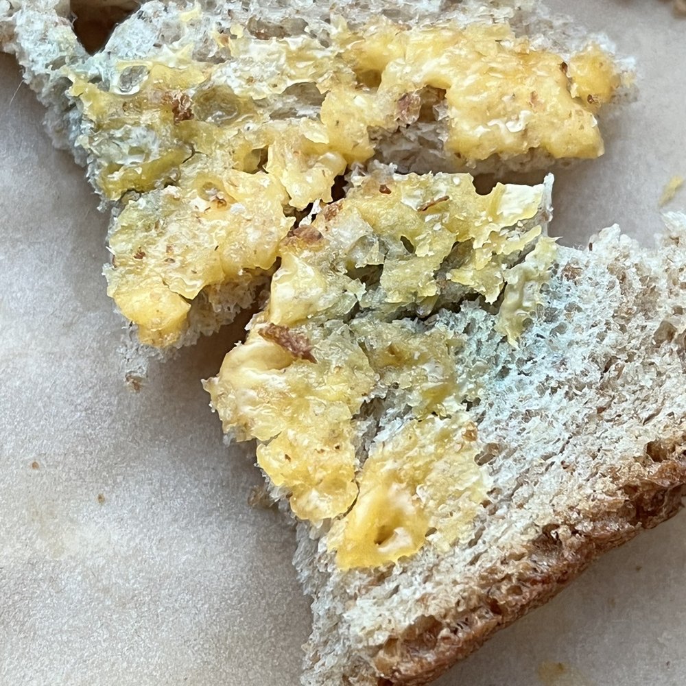 Mold on bread used to make Kids Toastie
