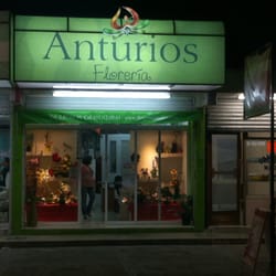 Floreria anturios - Fachada de Anturios