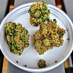Ayr Wellness Medical Marijuana Dispensary Bryn Mawr - Banana OG, 3.5g. (Supply/Cresco)