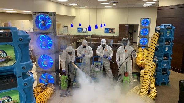 Mold Remediation - When it has been determined that mold is present in your property, our certified microbial remediators main concern is the potential risk for excessive mold exposure. Mold counts in the air can be 10 to 1,000 times higher than normal. Therefore, we offer the following methods to maintain outstanding mold remediation Miami performance:
Containment Areas
HEPA Vacuums
Air Scrubbers
Negative Air Pressure Units
Decontamination Procedures
Disinfecting
Fumigation
Cold Mist Air Fogging
Dry Icing
Air Filtration of Vent(s)/ Duct Systems
Antifungal Biocide
Keep in mind that the specifics of your Mold Remediation service are determined based upon the specifics of your mold issue. Various factors are involved in outlining a customized mold remediation plan and your specified treatment process will be provided to you in detail in your Mold Inspection Report within 2 to 3 business days upon completion of your Mold Inspection service. Mold Remediation - When it has been determined that mold is present in your property, our certified microbial remediators main concern is the potential risk for excessive mold exposure. Mold counts in the air can be 10 to 1,000 times higher than normal. Therefore, we offer the following methods to maintain outstanding mold remediation Miami performance:
Containment Areas
HEPA Vacuums
Air Scrubbers
Negative Air Pressure Units
Decontamination Procedures
Disinfecting
Fumigation
Cold Mist Air Fogging
Dry Icing
Air Filtration of Vent(s)/ Duct Systems
Antifungal Biocide
Keep in mind that the specifics of your Mold Remediation service are determined based upon the specifics of your mold issue. Various factors are involved in outlining a customized mold remediation plan and your specified treatment process will be provided to you in detail in your Mold Inspection Report within 2 to 3 business days upon completion of your Mold Inspection service.
