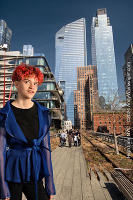 The High Line by null