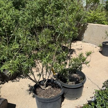Five Stones Landscape - Nurseries & Gardening Near Me - Oklahoma City, Oklahoma