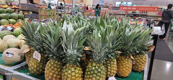 Sprouts Farmers Market by null