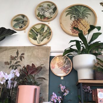 Dig Gardens - All my botanical decor dreams come true! - Nurseries & Gardening Near Me - Santa Cruz, California Dig Gardens - All my botanical decor dreams come true! - Nurseries & Gardening Near Me - Santa Cruz, California