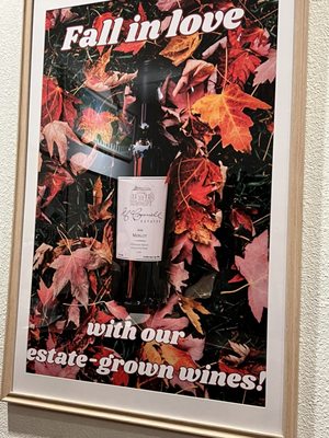 McConnell Estates Winery by null