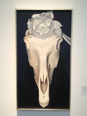 Georgia O'Keeffe Museum by null