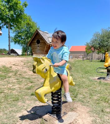 Dewberry Farm by null