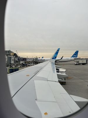 JetBlue Airways by null