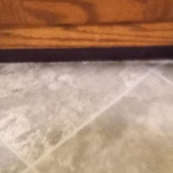 SERVPRO of Portsmouth