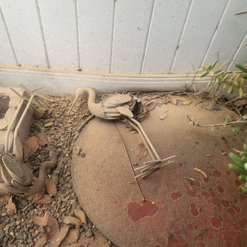 Empire Today - Left a mess outside - Carpet Installation Near Me Empire Today - Left a mess outside - Carpet Installation Near Me