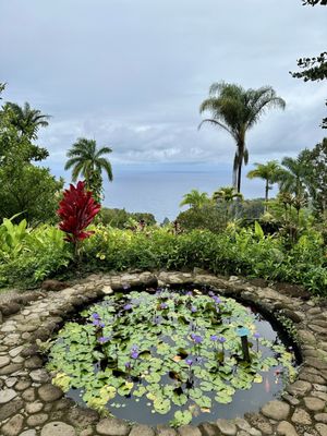 Garden of Eden Arboretum by null