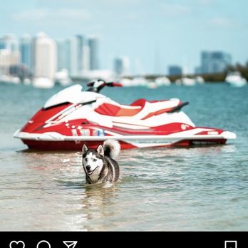 Wavy Skis - Jet Skis Near Me Wavy Skis - Jet Skis Near Me