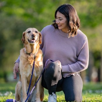 Leash & Learn - Pet Training Near Me Leash & Learn - Pet Training Near Me