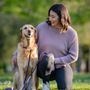 Photo of Leash & Learn
