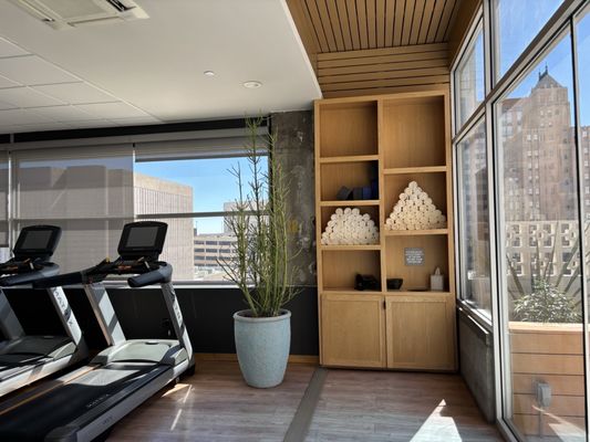 Hotel Indigo El Paso Downtown by IHG by null