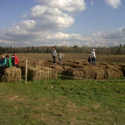Cooper's CSA Farm & Maze
