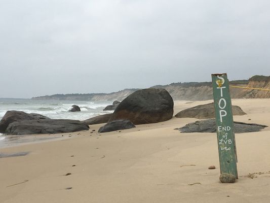 Beach Plum Inn & Restauraunt by null
