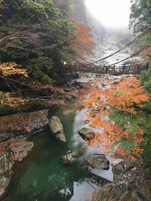 Iya Valley Bridge by null