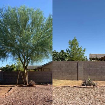 Big O Lawn Care - a tree in a backyard - Landscaping Near Me