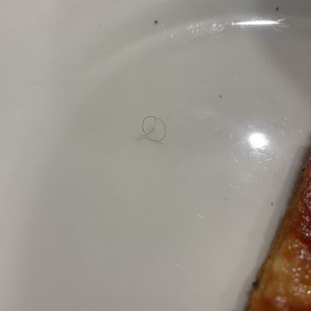 Al's Pizza - Pubes on pizza - Pizza Near Me - Jacksonville, Florida Al's Pizza - Pubes on pizza - Pizza Near Me - Jacksonville, Florida