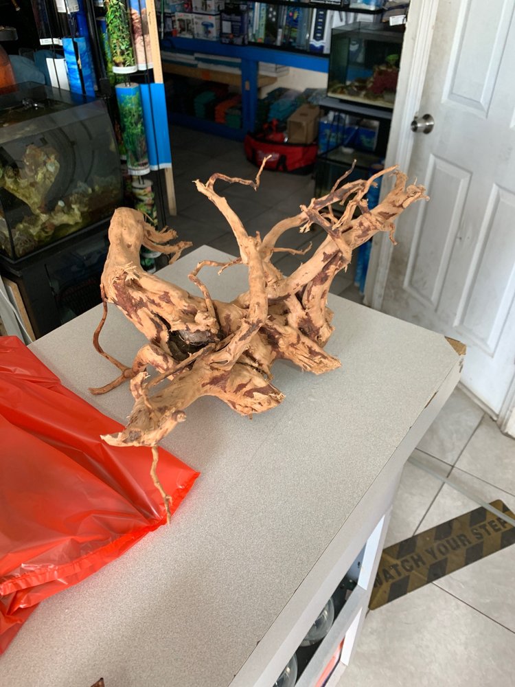 1ST CLASS AQUARIUM 27 Photos & 13 Reviews 1167 Bay St, Staten Island, New York Aquariums