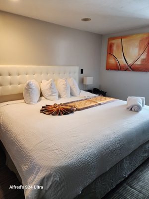 Cape Sands Inn by null