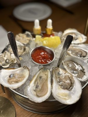 Saltie Girl by null Saltie Girl by null