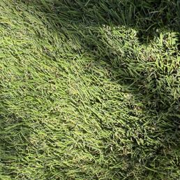 Flat turf, hardly any infill Flat turf, hardly any infill