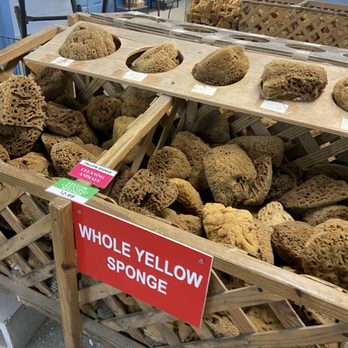 Spongeorama - Gift Shops Near Me - Tarpon Springs, Florida