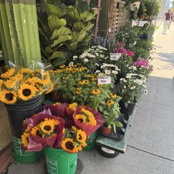 Eden Flower Shop