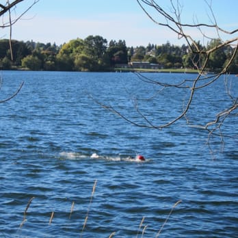 Green Lake Park - Swimmer! - Parks Near Me - Seattle, Washington Green Lake Park - Swimmer! - Parks Near Me - Seattle, Washington
