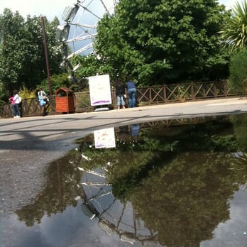 Thorpe Park - reflecting on a scary experience... - Amusement Parks Near Me - Chertsey, SRY Thorpe Park - reflecting on a scary experience... - Amusement Parks Near Me - Chertsey, SRY