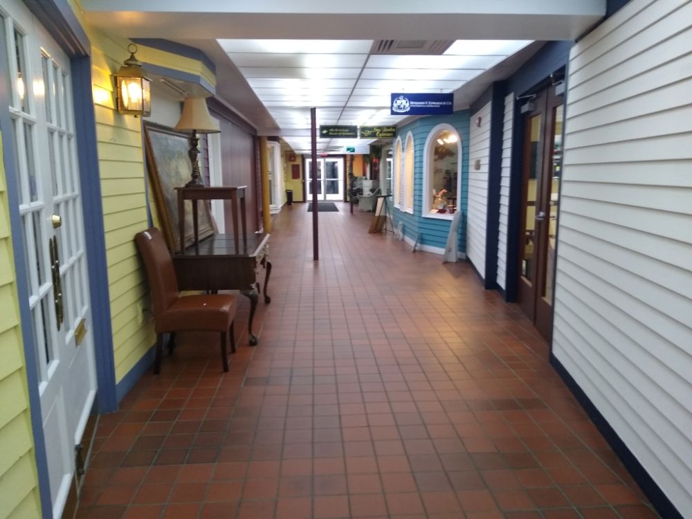 Total Outlook Services - tree service in Goshen, NH