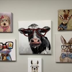 Midway Optometry - Great glasses for everyone
