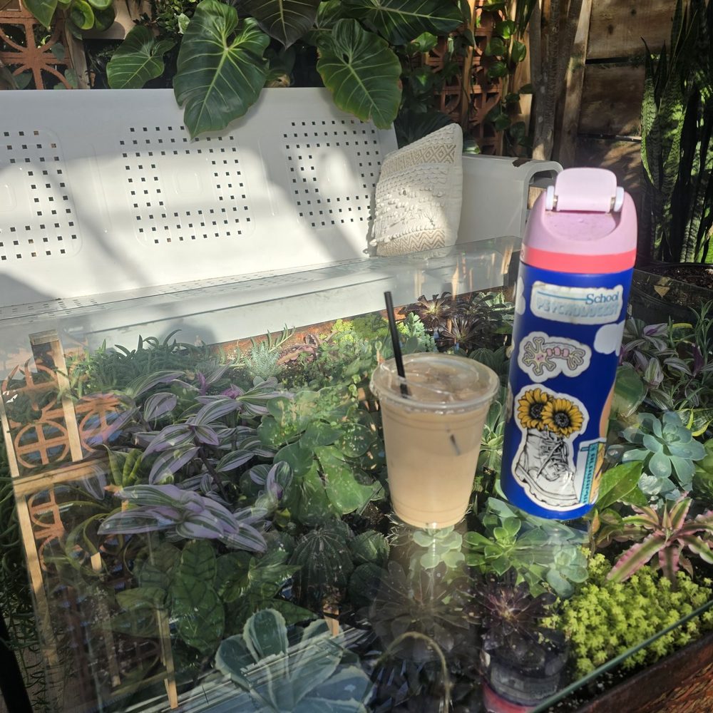 Café Equinox - Fun table at nursery - Home & Garden Near Me - Shawnee, Kansas