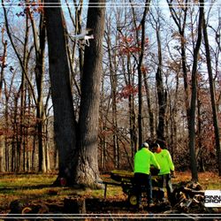 Pinnacle Drone Services