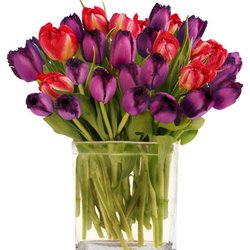 Flower Basket