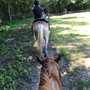 Photo of Peiffer Riding Stables