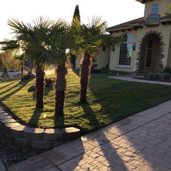 Better Garden Care - palm trees in front of a house - Tree Services Near Me Better Garden Care - palm trees in front of a house - Tree Services Near Me