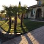 Photo of Better Garden Care