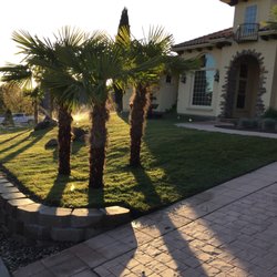 Better Garden Care