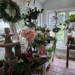 Dearness Gardens