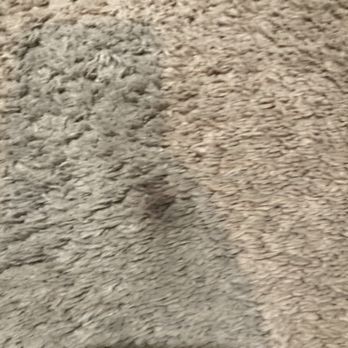 Haro Carpet Cleaning - Bedroom - Carpet Cleaning Near Me